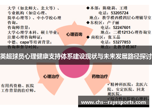 英超球员心理健康支持体系建设现状与未来发展路径探讨 英超球员心理健康支持体系建设现状与未来发展路径探讨